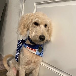 Meet your Posher, Marcella